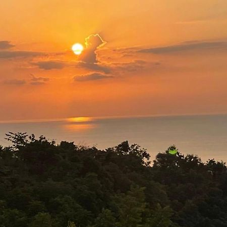 B&B Ereprijs Гаага Екстер'єр фото